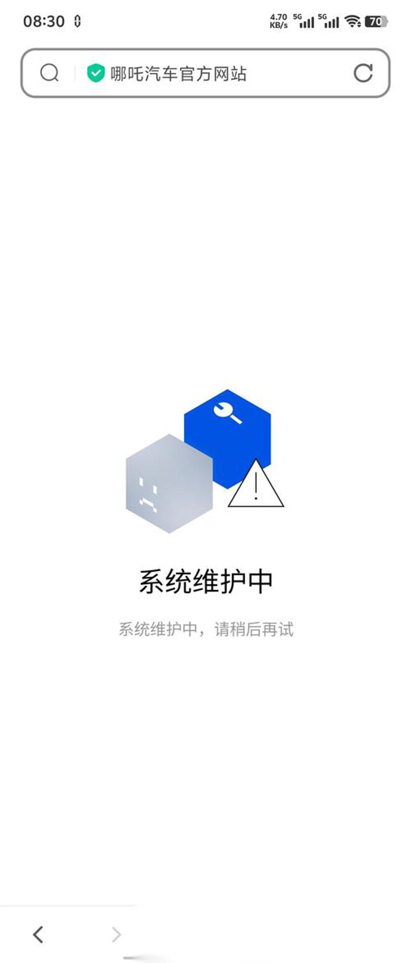 商城网站开发