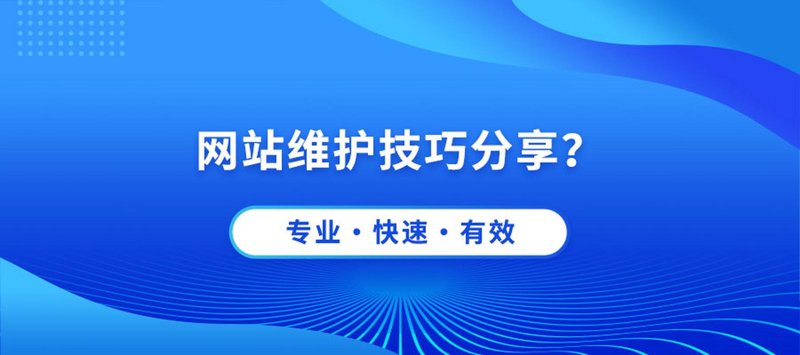 如何让自己的小店在温州市场上‘站稳脚跟’——选择专业网站建设的重要性